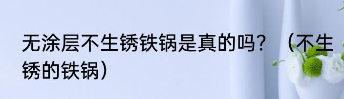 无涂层不生锈铁锅是真的吗？（不生锈的铁锅）