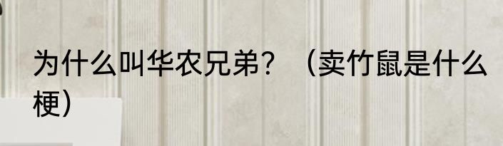 为什么叫华农兄弟？（卖竹鼠是什么梗）