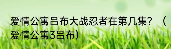 爱情公寓吕布大战忍者在第几集？（爱情公寓3吕布）
