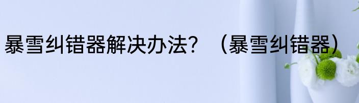 暴雪纠错器解决办法？（暴雪纠错器）