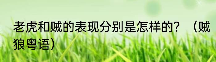 老虎和贼的表现分别是怎样的？（贼狼粤语）