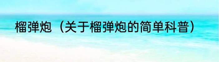 榴弹炮（关于榴弹炮的简单科普）