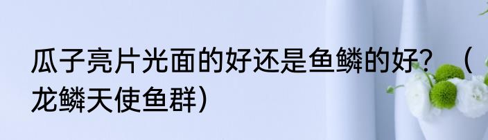 瓜子亮片光面的好还是鱼鳞的好？（龙鳞天使鱼群）
