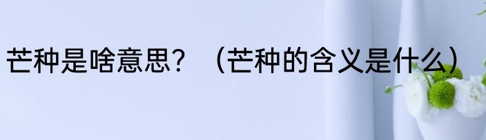 芒种是啥意思？（芒种的含义是什么）