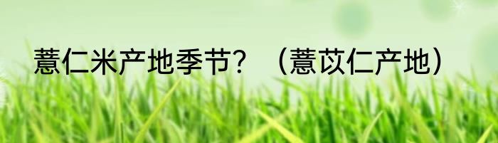 薏仁米产地季节？（薏苡仁产地）