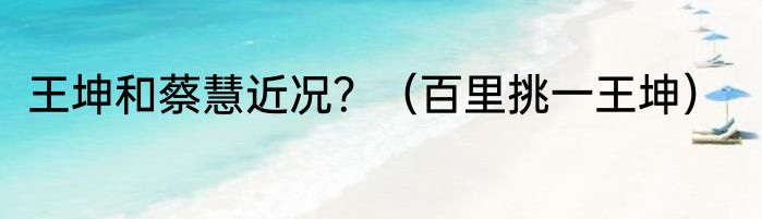 王坤和蔡慧近况？（百里挑一王坤）