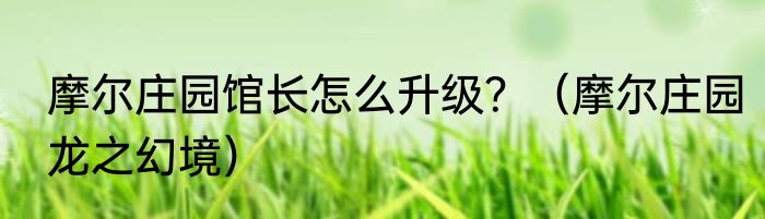 摩尔庄园馆长怎么升级？（摩尔庄园龙之幻境）