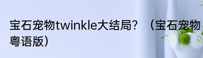 宝石宠物twinkle大结局？（宝石宠物粤语版）