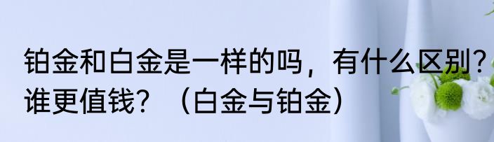 铂金和白金是一样的吗，有什么区别？谁更值钱？（白金与铂金）