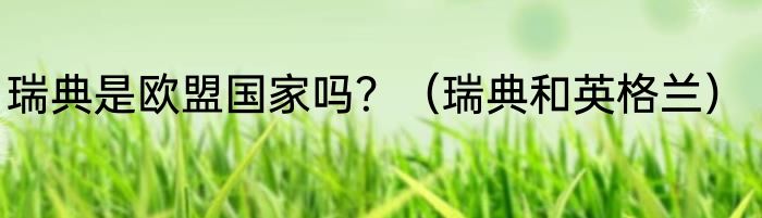 瑞典是欧盟国家吗？（瑞典和英格兰）