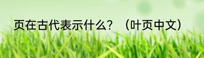 页在古代表示什么？（叶页中文）