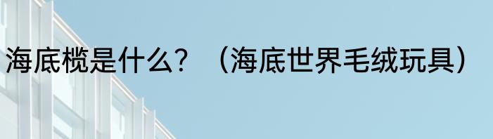 海底榄是什么？（海底世界毛绒玩具）