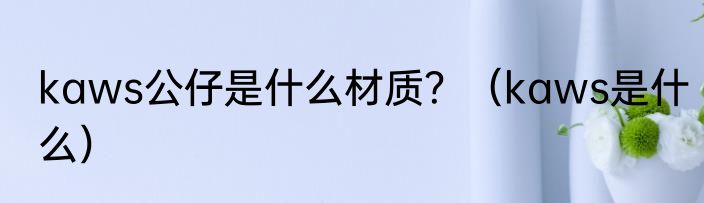 kaws公仔是什么材质？（kaws是什么）