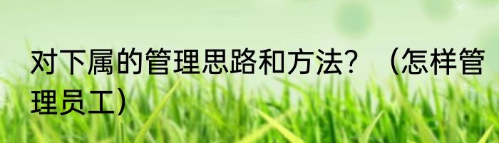 对下属的管理思路和方法？（怎样管理员工）