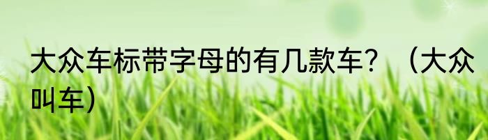 大众车标带字母的有几款车？（大众叫车）