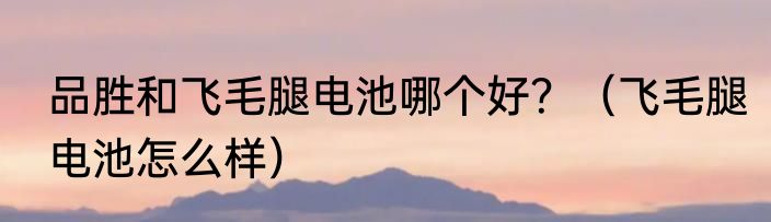 品胜和飞毛腿电池哪个好？（飞毛腿电池怎么样）