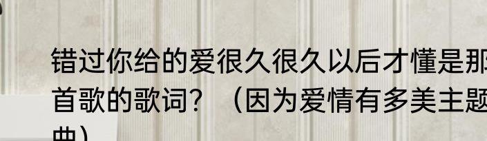 错过你给的爱很久很久以后才懂是那首歌的歌词？（因为爱情有多美主题曲）