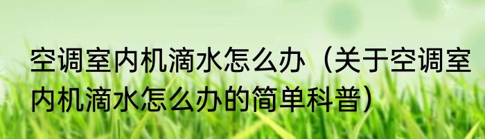 空调室内机滴水怎么办（关于空调室内机滴水怎么办的简单科普）