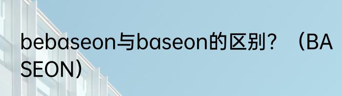 bebaseon与baseon的区别？（BASEON）