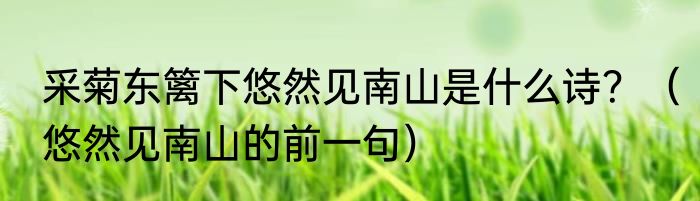 采菊东篱下悠然见南山是什么诗？（悠然见南山的前一句）