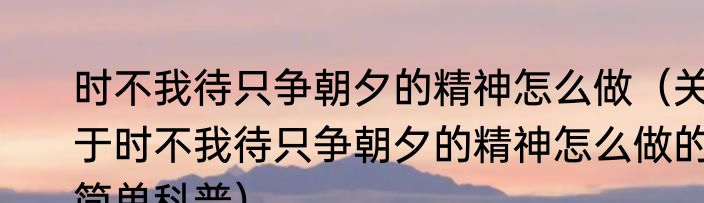 时不我待只争朝夕的精神怎么做（关于时不我待只争朝夕的精神怎么做的简单科普）