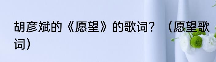 胡彦斌的《愿望》的歌词？（愿望歌词）