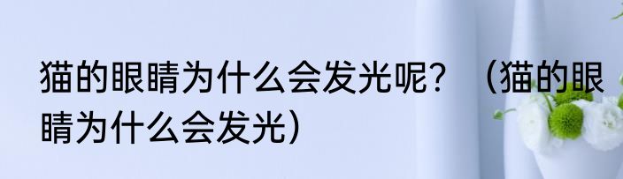猫的眼睛为什么会发光呢？（猫的眼睛为什么会发光）