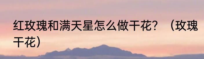 红玫瑰和满天星怎么做干花？（玫瑰干花）