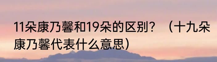 11朵康乃馨和19朵的区别？（十九朵康乃馨代表什么意思）