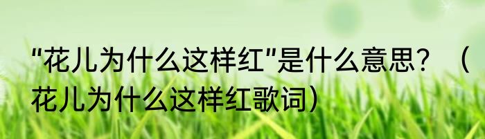 “花儿为什么这样红”是什么意思？（花儿为什么这样红歌词）