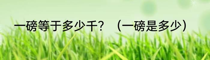 一磅等于多少千？（一磅是多少）