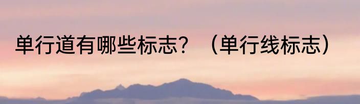 单行道有哪些标志？（单行线标志）