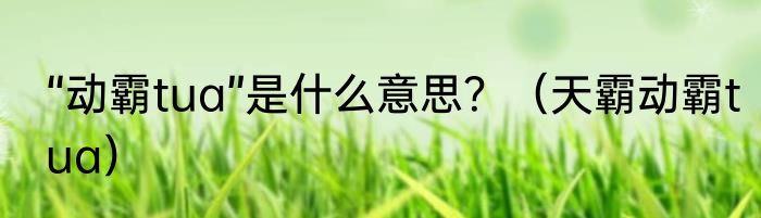 “动霸tua”是什么意思？（天霸动霸tua）