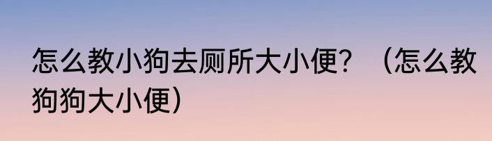 怎么教小狗去厕所大小便？（怎么教狗狗大小便）