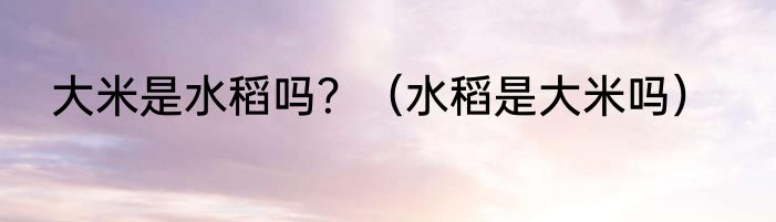 大米是水稻吗？（水稻是大米吗）