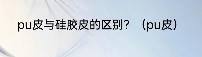 pu皮与硅胶皮的区别？（pu皮）