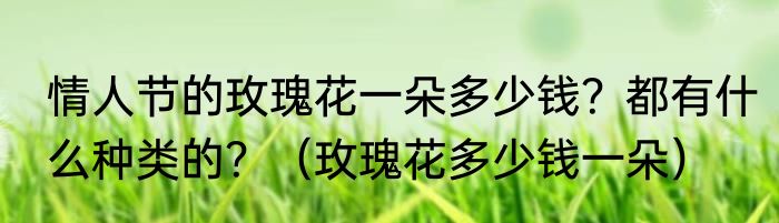 情人节的玫瑰花一朵多少钱？都有什么种类的？（玫瑰花多少钱一朵）
