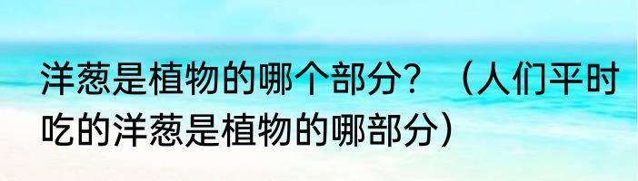 洋葱是植物的哪个部分？（人们平时吃的洋葱是植物的哪部分）