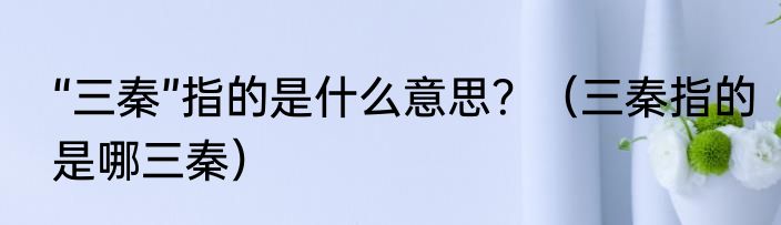 “三秦”指的是什么意思？（三秦指的是哪三秦）