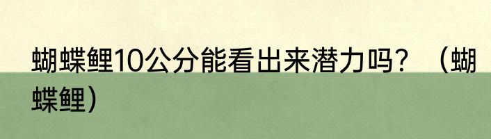 蝴蝶鲤10公分能看出来潜力吗？（蝴蝶鲤）
