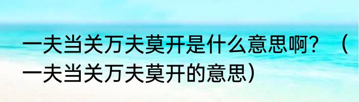 一夫当关万夫莫开是什么意思啊？（一夫当关万夫莫开的意思）