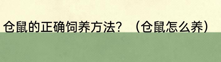 仓鼠的正确饲养方法？（仓鼠怎么养）