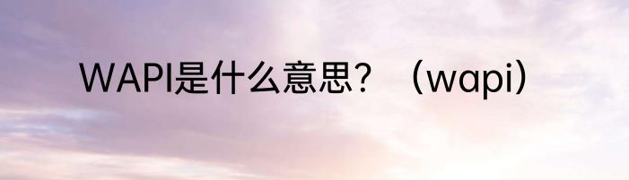 WAPI是什么意思？（wapi）