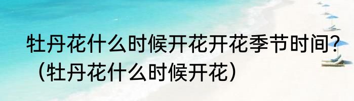 牡丹花什么时候开花开花季节时间？（牡丹花什么时候开花）