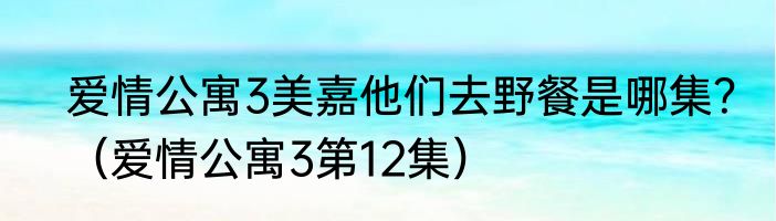 爱情公寓3美嘉他们去野餐是哪集？（爱情公寓3第12集）