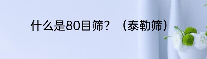 什么是80目筛？（泰勒筛）