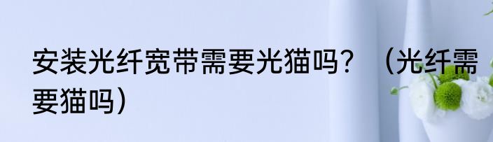 安装光纤宽带需要光猫吗？（光纤需要猫吗）