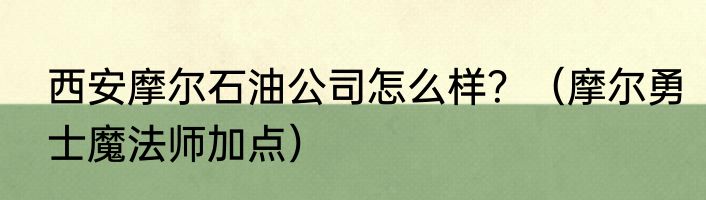 西安摩尔石油公司怎么样？（摩尔勇士魔法师加点）