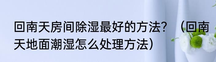 回南天房间除湿最好的方法？（回南天地面潮湿怎么处理方法）