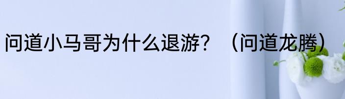 问道小马哥为什么退游？（问道龙腾）